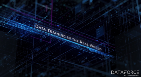 Data Training in the Real World