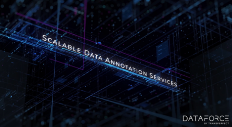 Scalable Data Annotation Services