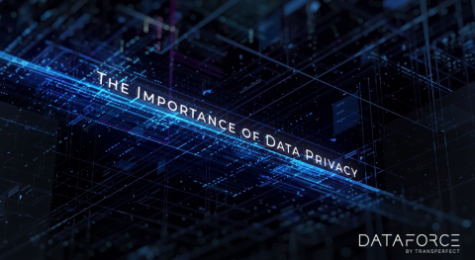 Importance of Data Privacy